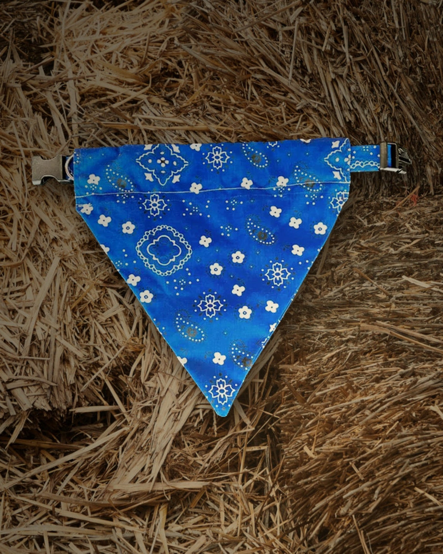 Blue bandanna print dog bandana from Hippie Hound Hut threaded over a dog collar, laid out on straw