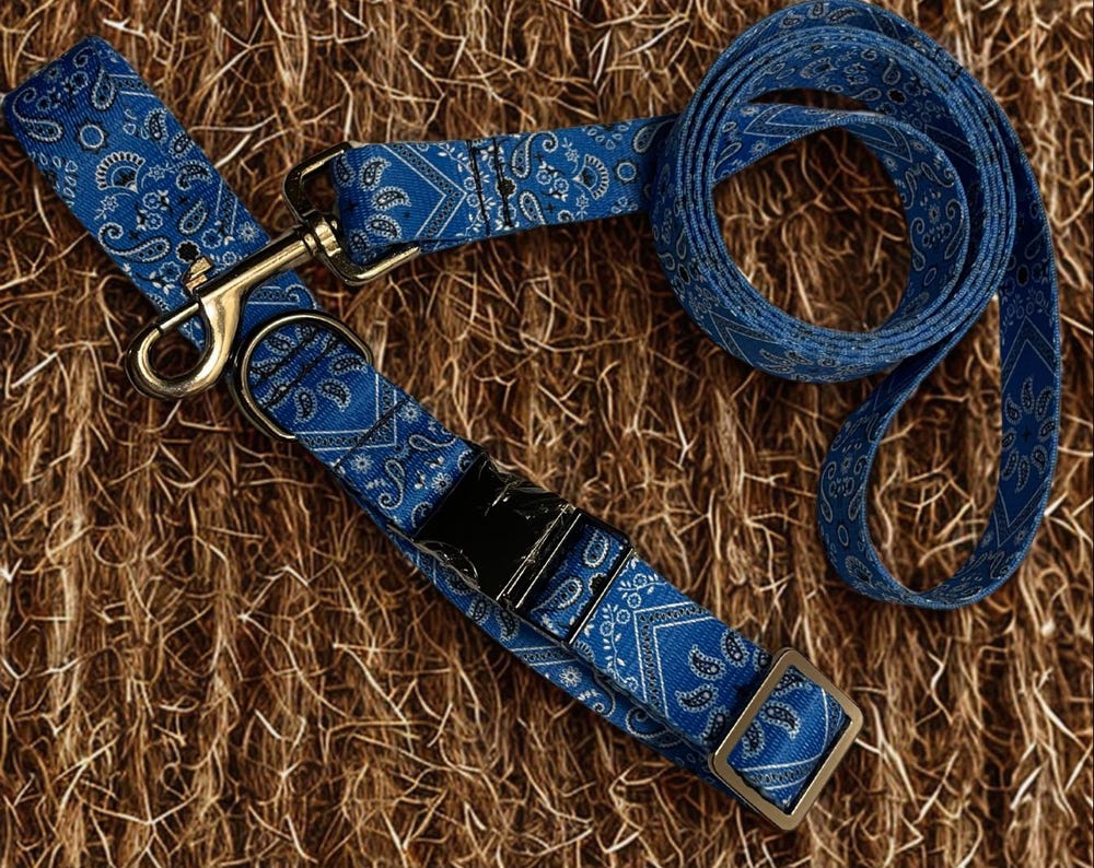 Blue bandanna collar and leash on straw