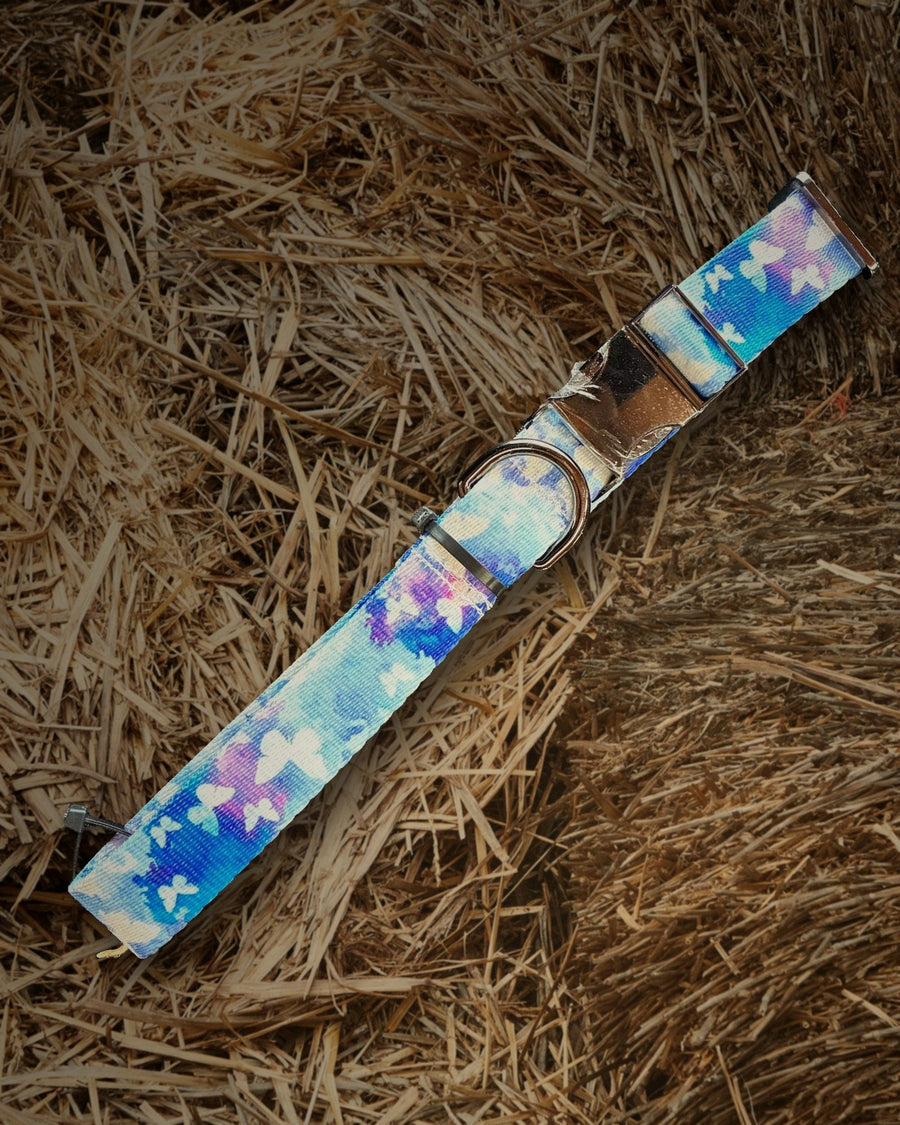 Butterfly dog leash handmade by Hippie Hound Hut