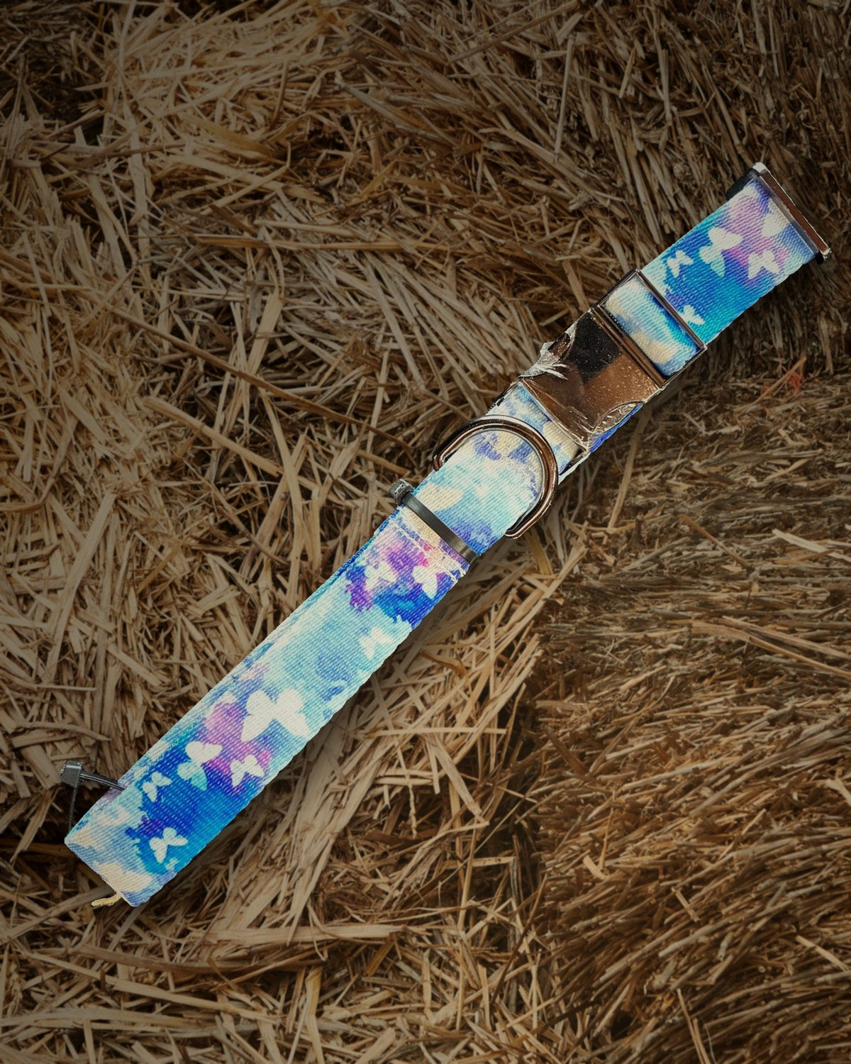 Butterfly dog collar handmade by Hippie Hound Hut