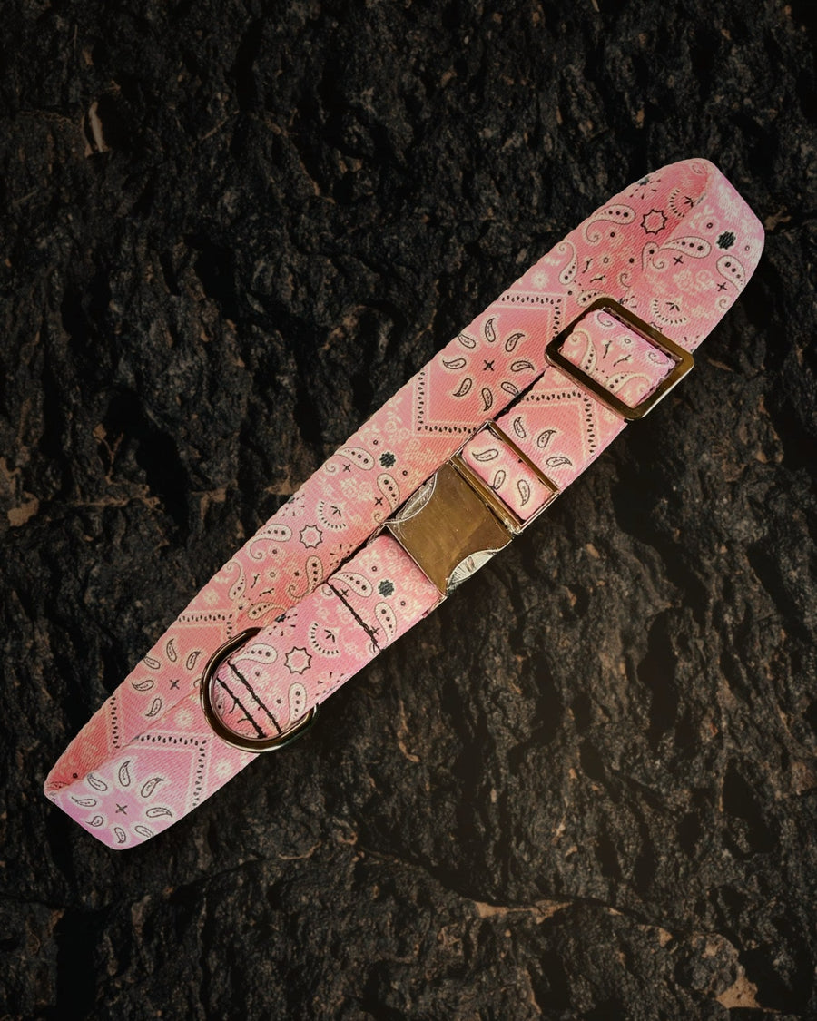 Pink Bandanna matching dog collar and leash set handmade by Hippie Hound Hut