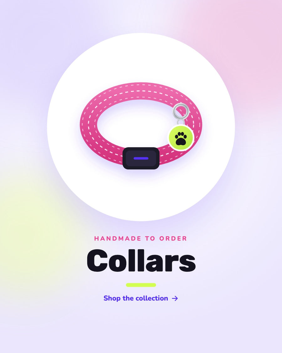 Shop handmade dog collars