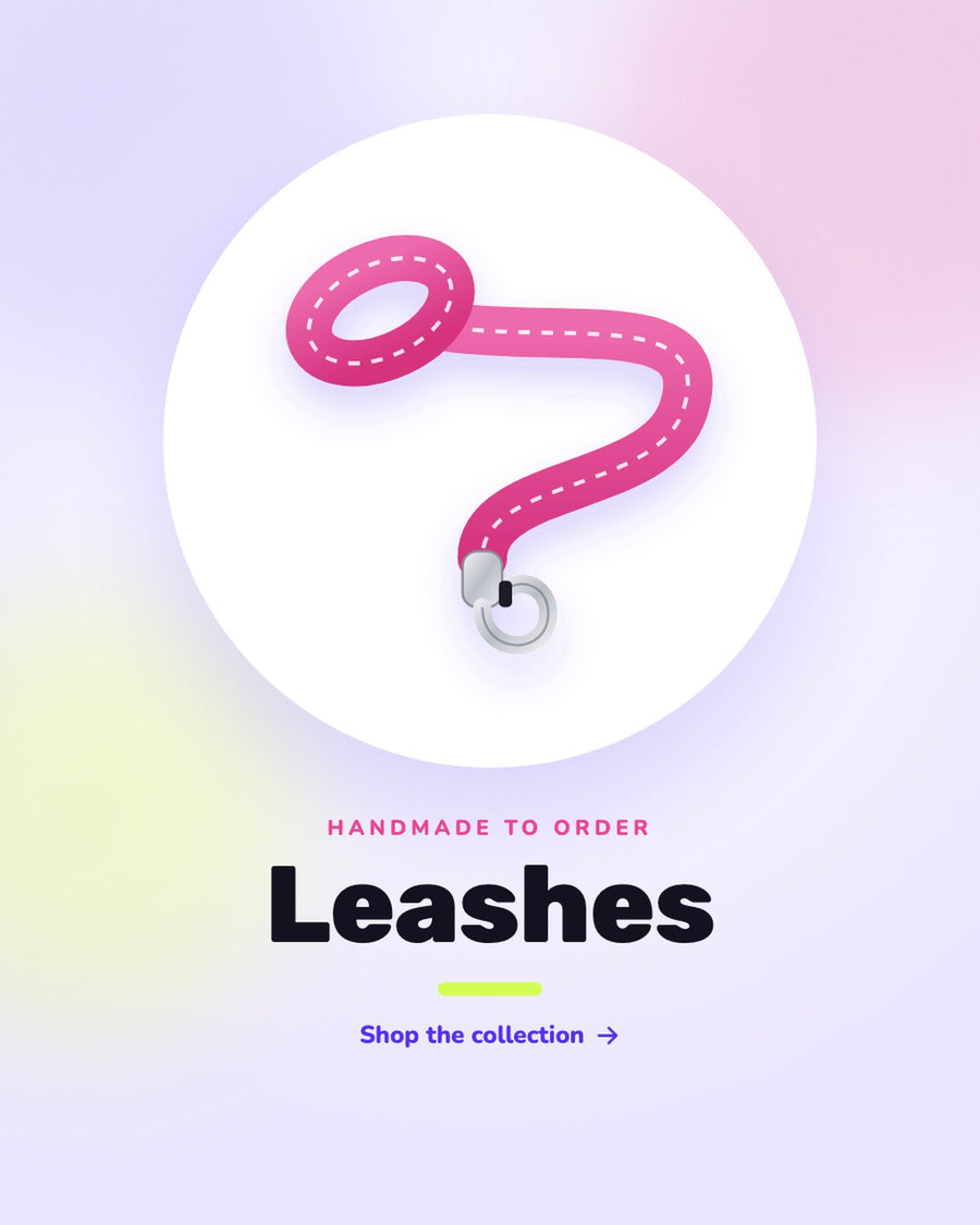 Shop handmade dog leashes