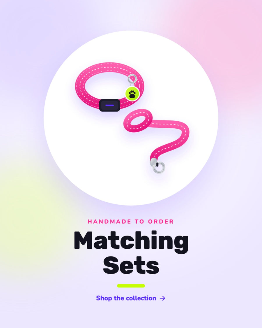 Shop matching collar and leash sets